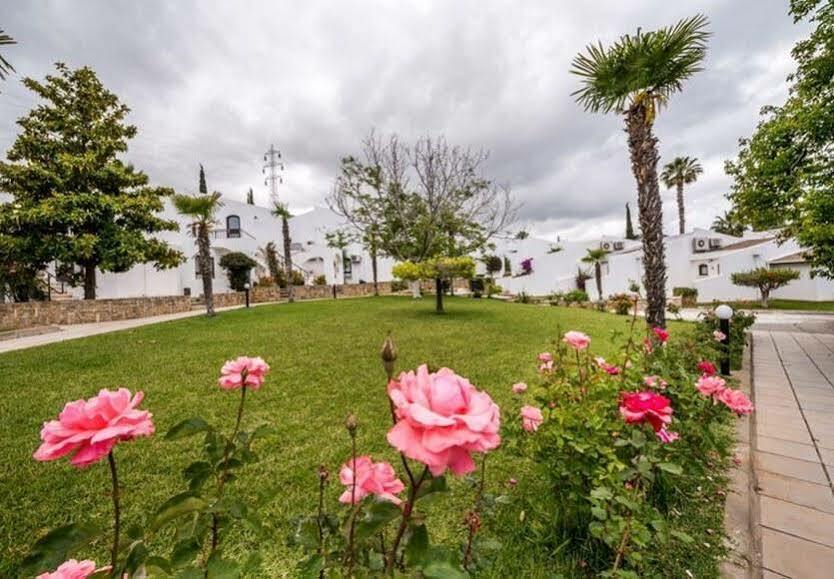 The Olive Tree Hotel Agios Epiktitos Eksteriør bilde