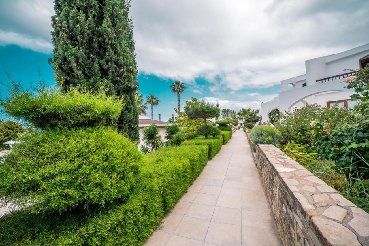 The Olive Tree Hotel Agios Epiktitos Eksteriør bilde